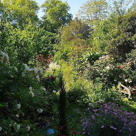 La Petite Maison Du Jardin D'Apollon Dourdan Esterno foto