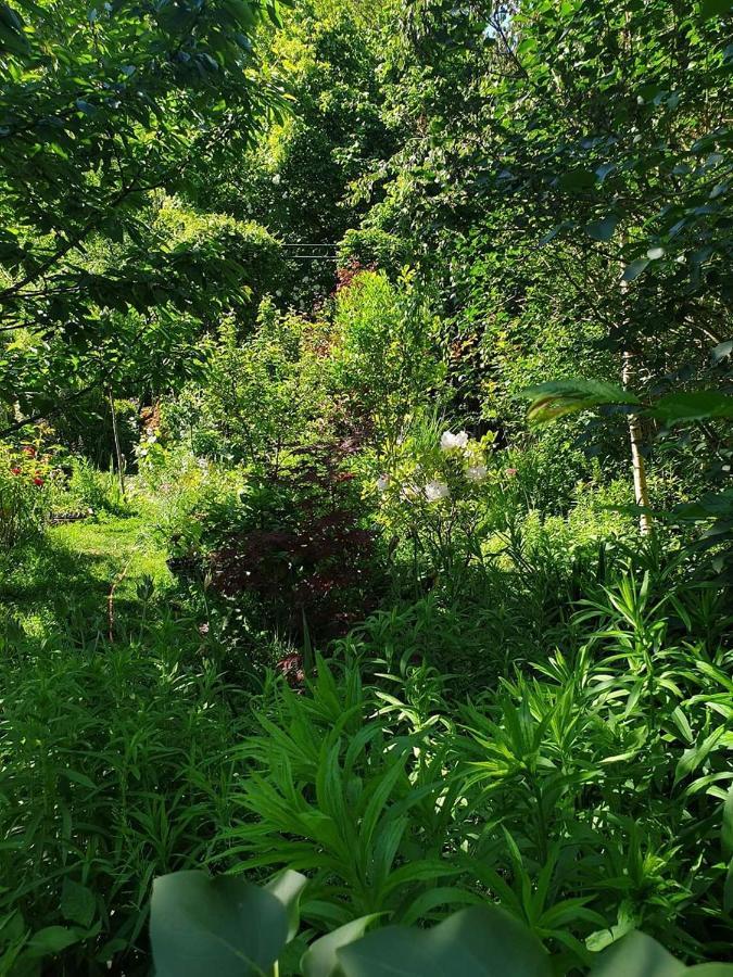 La Petite Maison Du Jardin D'Apollon Dourdan Esterno foto